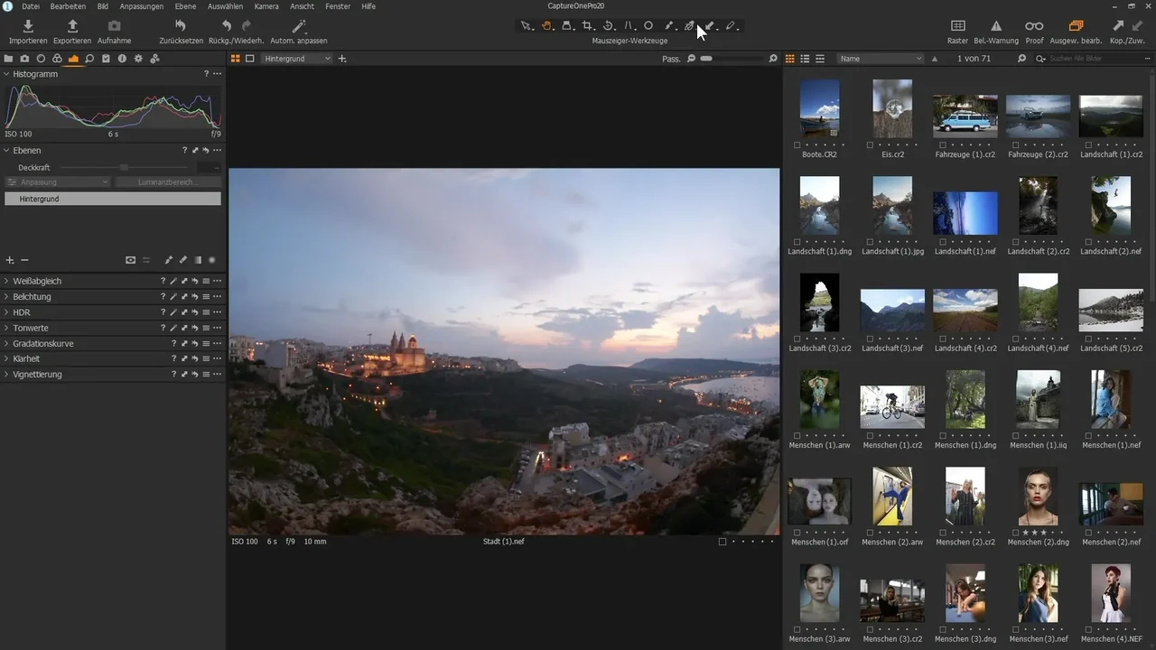 Capture One preview