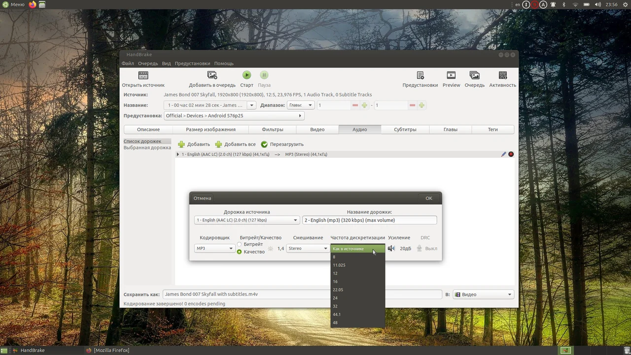 HandBrake preview