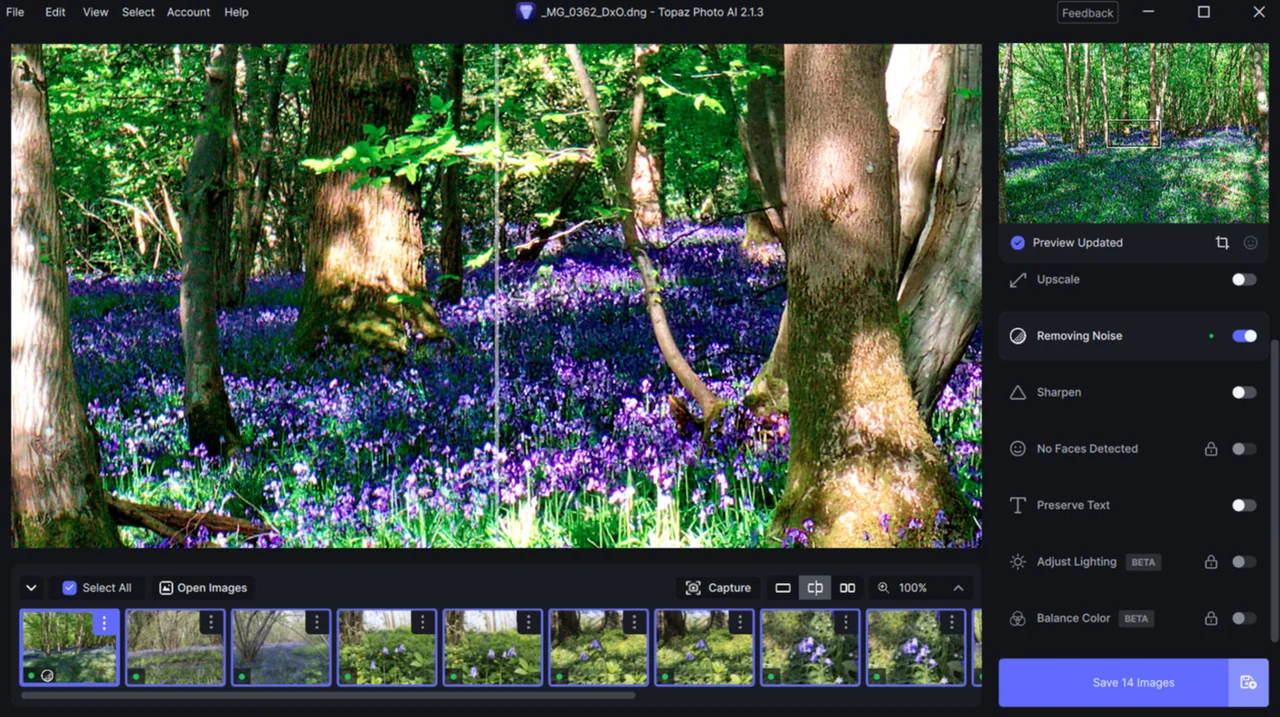 Topaz Photo AI preview