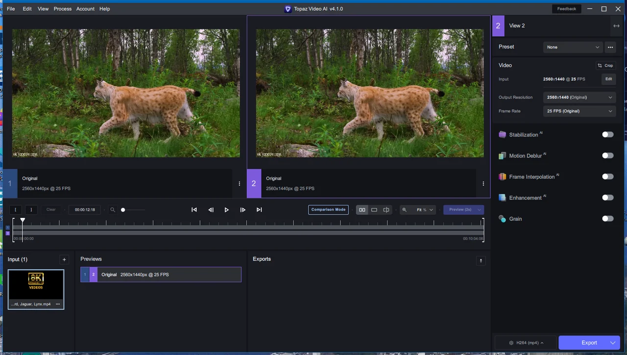 Topaz Video AI preview